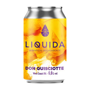 Don Quisciotte